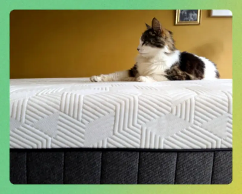Best Mattresses 2026: 14 Tested, Otty Original Hybrid Wins Overall