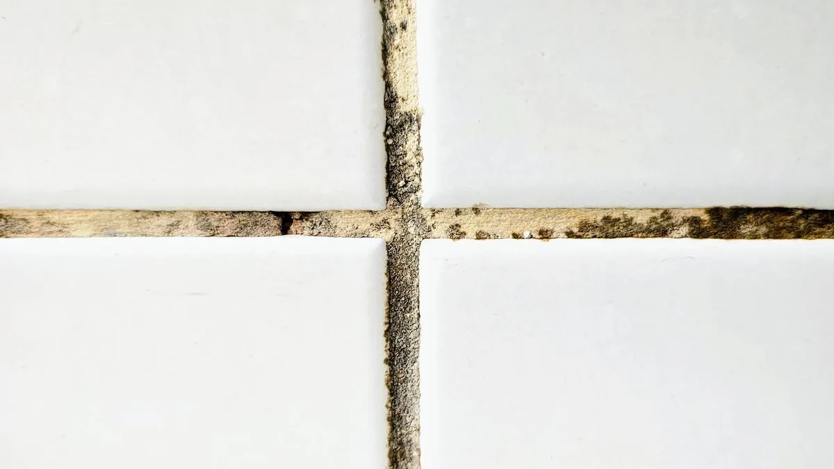 Hydrogen peroxide hailed as superior mould remover over bleach