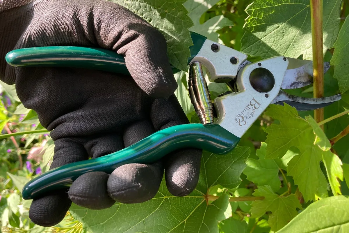 Best Secateurs for UK Gardeners: Expert Reviews and Top Picks