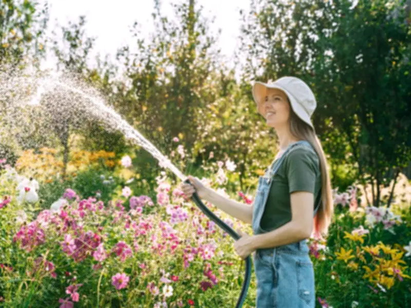 Best Time to Water Garden in Heatwave: Experts Agree on Early Morning or Evening