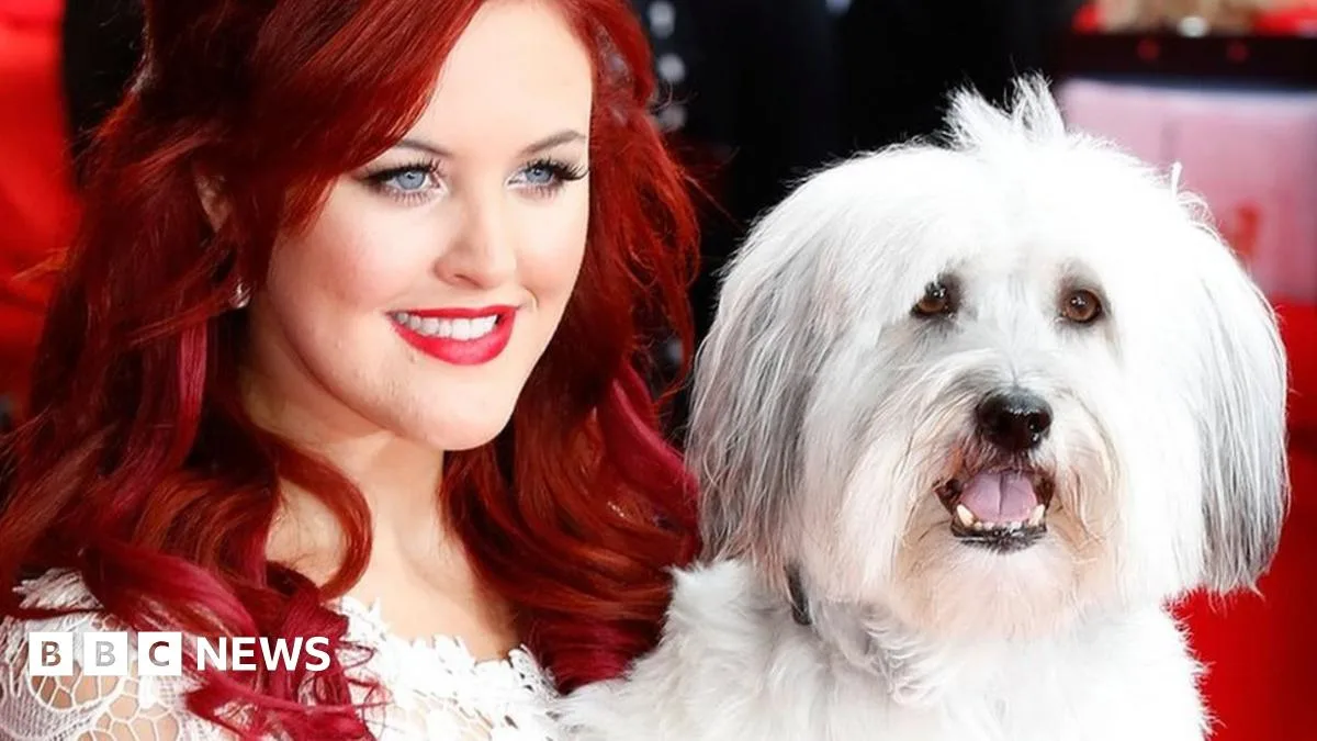 Ashleigh Butler to Continue Legacy with New Dog Sully After Pudsey's Death