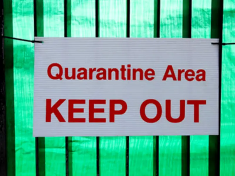 BHA Issues Equine Flu Warning After New Case Confirmed in Shropshire