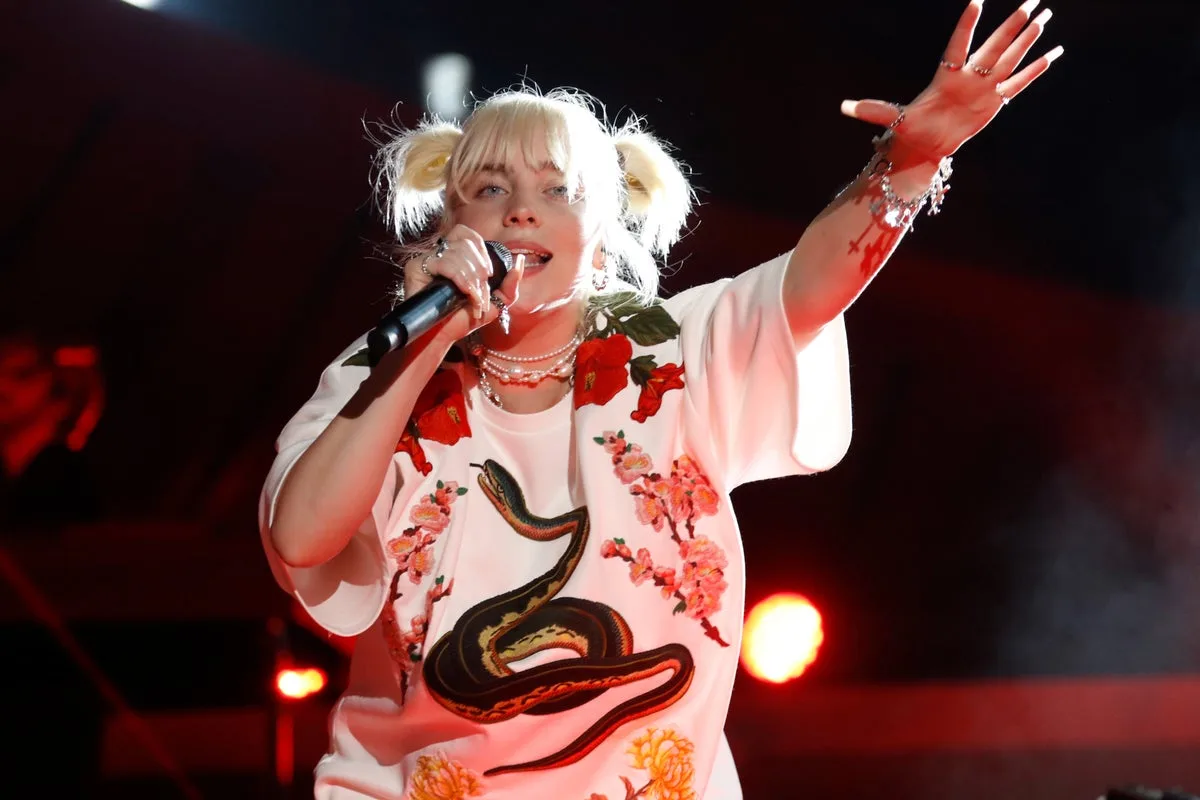 Billie Eilish and Others Praised for Stopping Shows Over Fan Safety