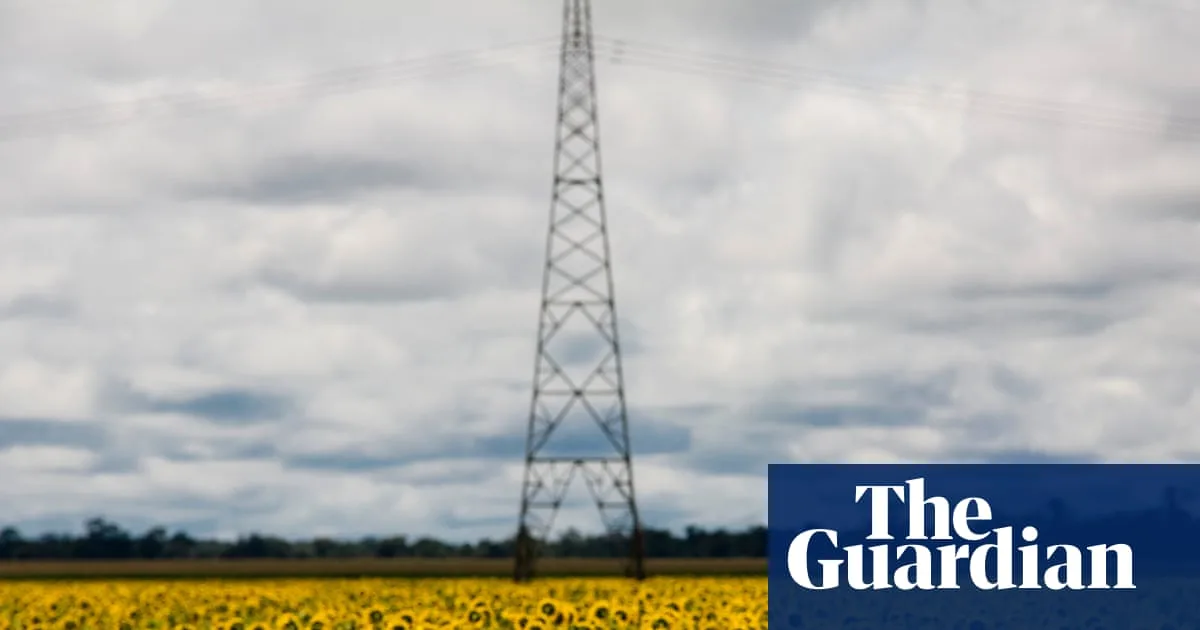 Biofuel Surge Risks Worsening Global Food Crisis, Experts Warn