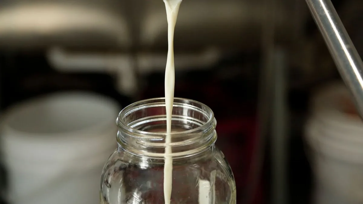 Raw Milk Warning as Study Raises Alarm Over Bird Flu Transmission