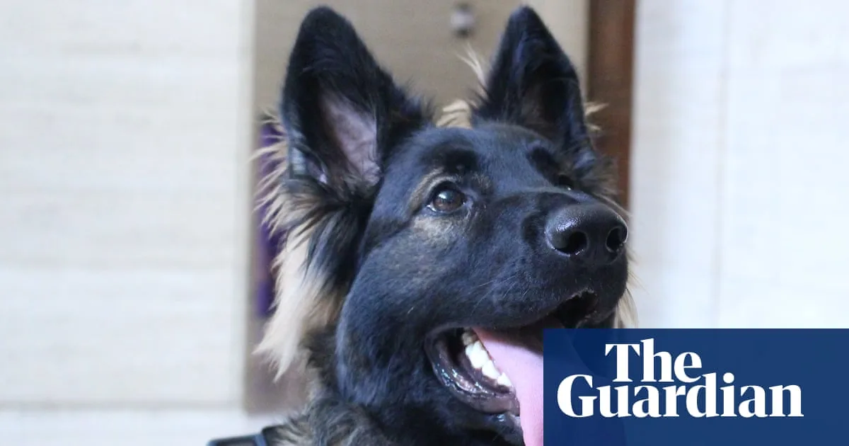 Blondi: Hitler's Dog as Cinemadographer in New Film