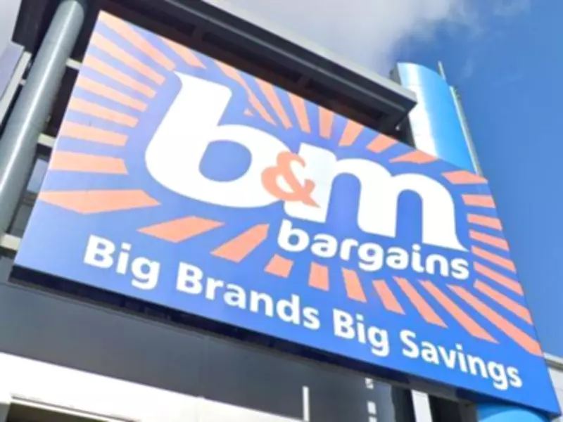 B&M's £14 Solar Crystal Chandelier Adds Garden Glamour, Cheaper Than £25 Rival