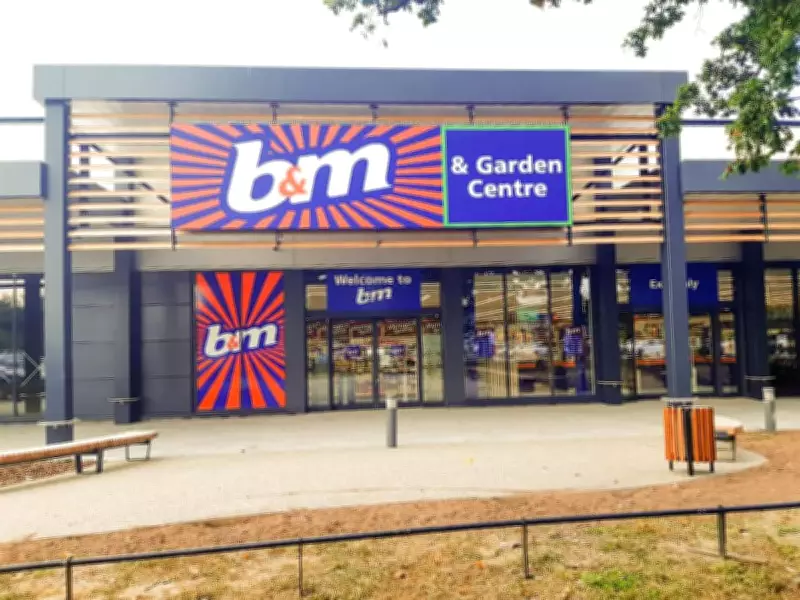B&M's £2 Solar Flower Light Adds Colour to Gardens This Summer