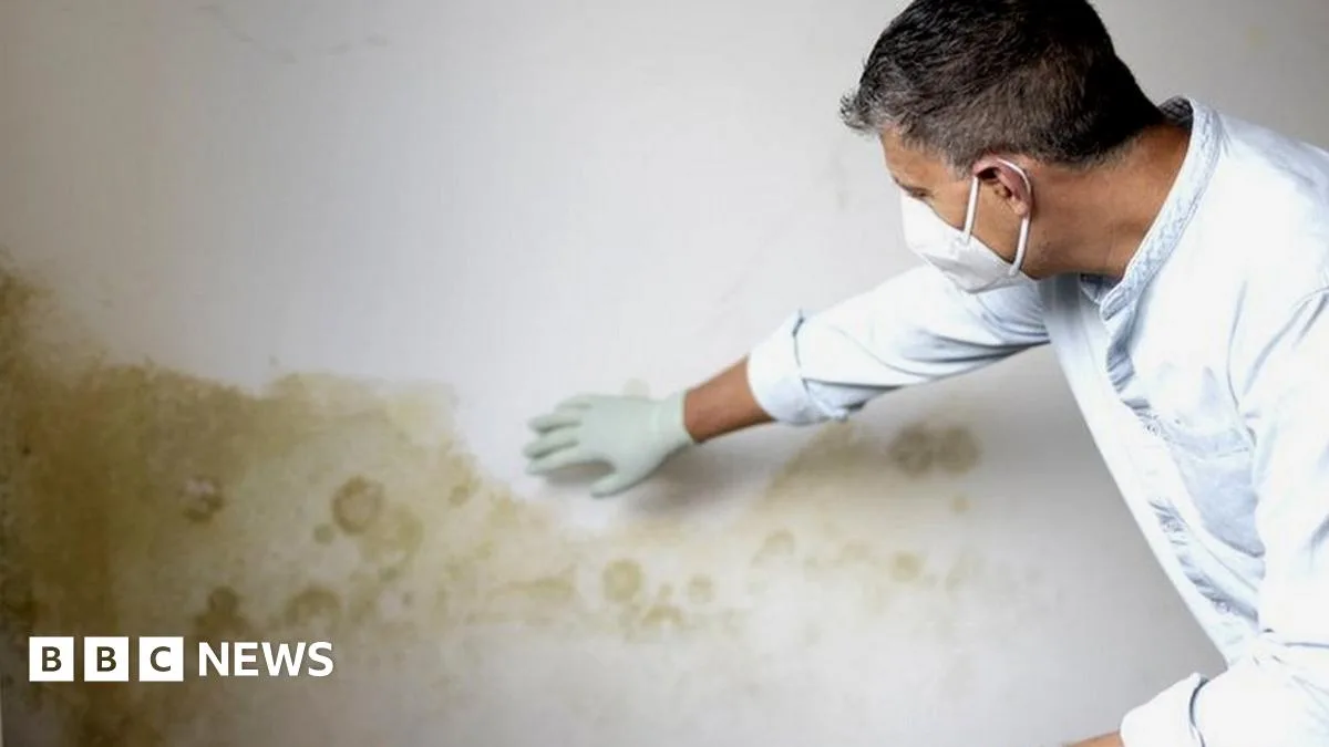 Damp-Busting Dehumidifiers See Surge in Demand as Britons Battle Mould and High Energy Bills
