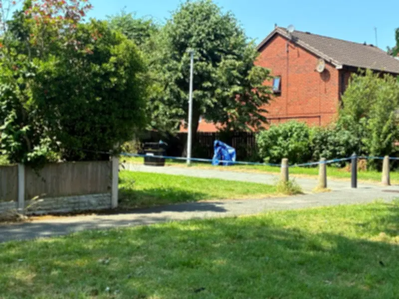Boy, 10, Shouts 'Mum, Someone's Been Stabbed' After Woodchurch Attack