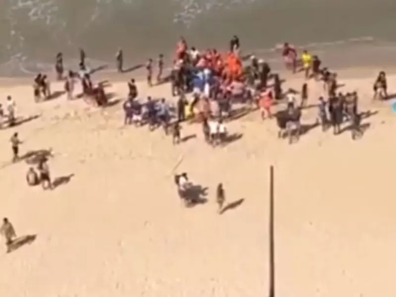Boy, 11, Loses Leg in Shark Attack on Crowded Brazilian Beach