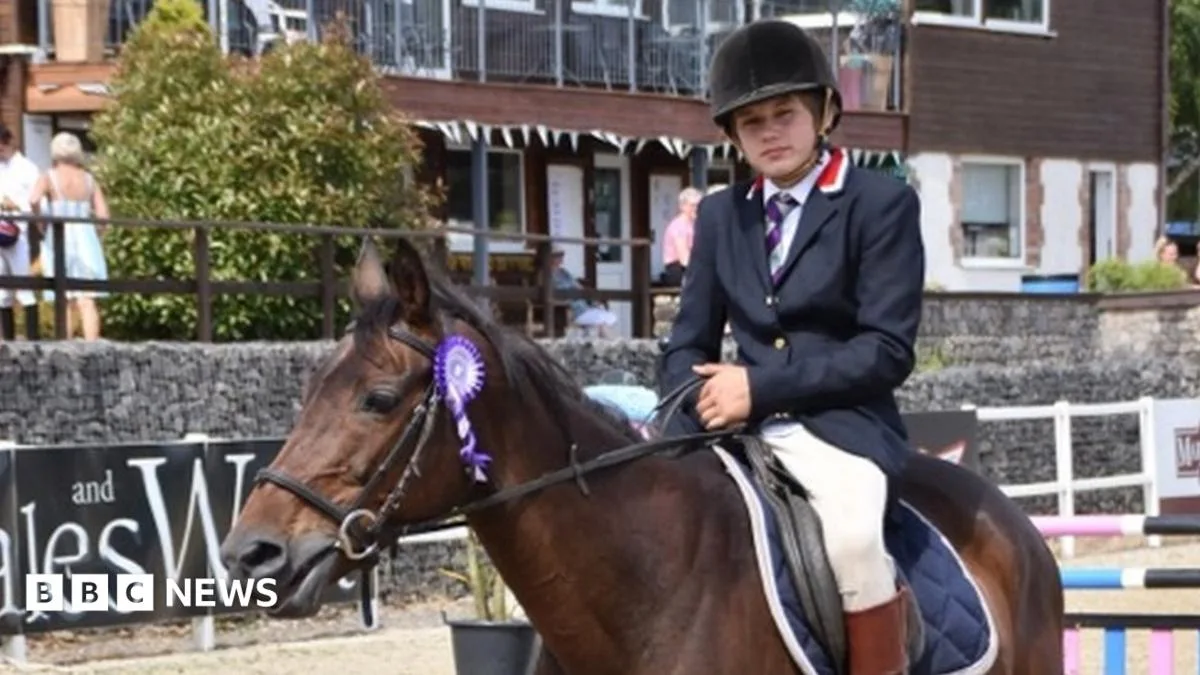 Llanelli Boy Suffered 'Horrific' Bullying Before Death, Inquest Told