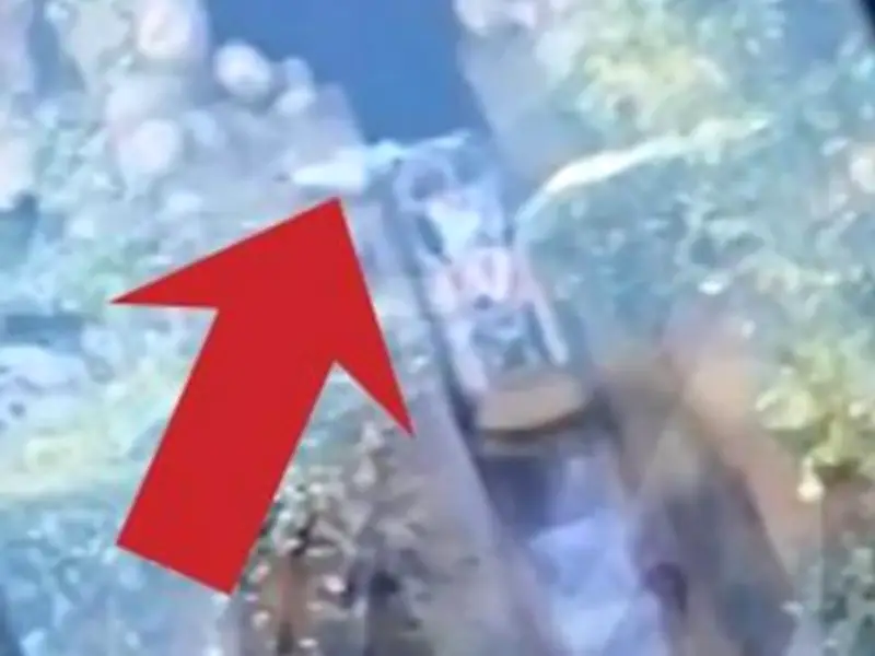 Boy, 13, Falls 50ft from Disneyland Ride After Climbing Out Mid-Ride