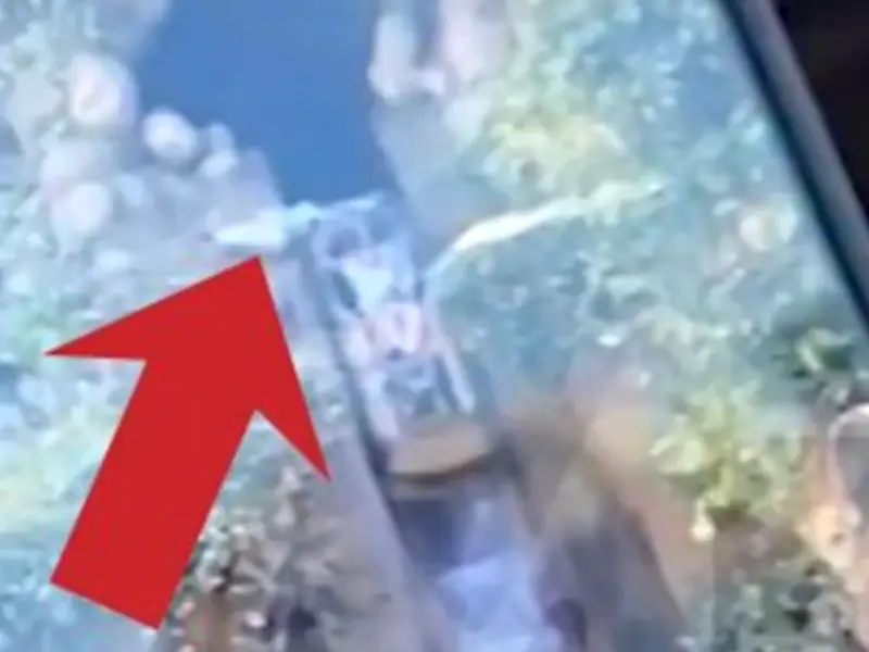 Boy, 13, Plunges 50 Feet at Disneyland After Climbing Out of Ride