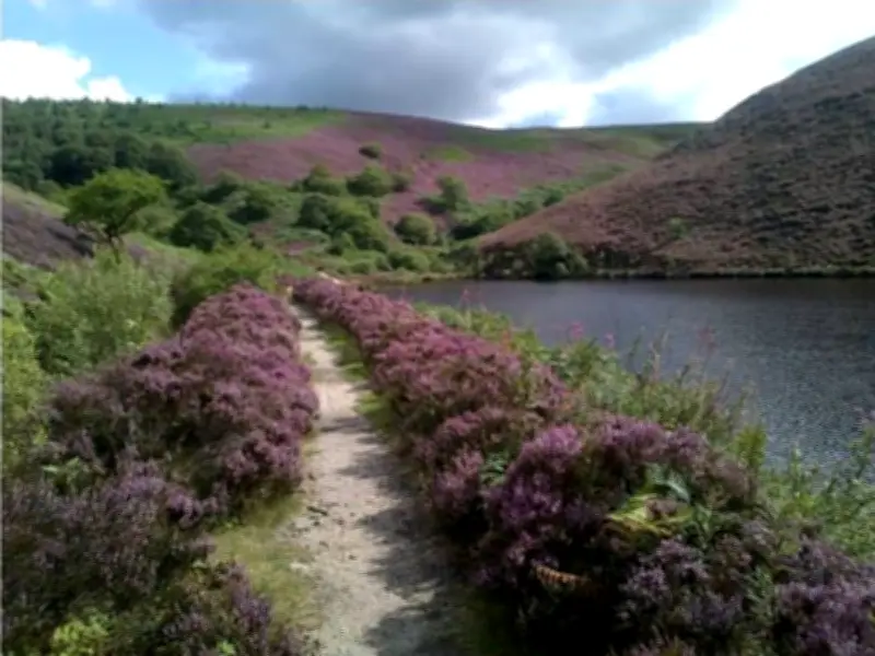 Boy, 15, Becomes Seventh UK Drowning Death in Heatwave