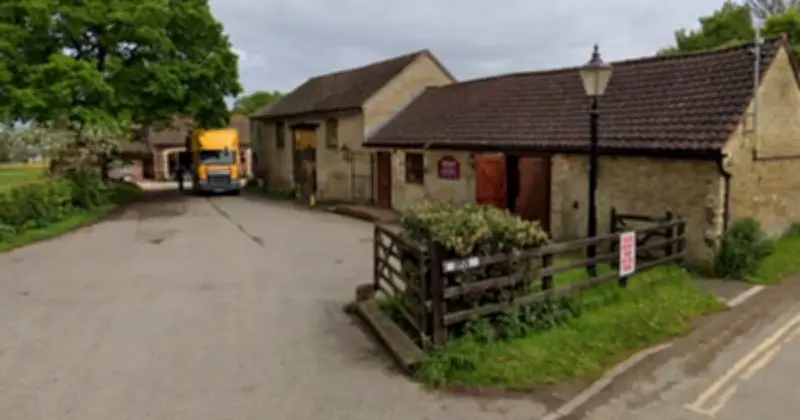 Boy, 3, Critical After Crocodile Incident at Huntingdon Zoo; Man Arrested