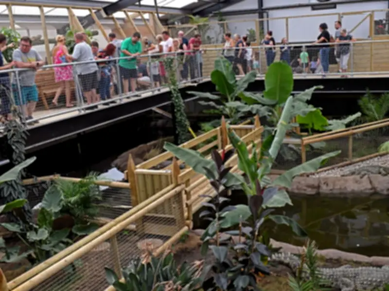 Boy, 3, Thrown into Crocodile Enclosure No Longer in Critical Condition