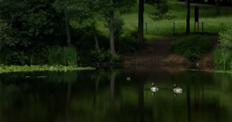 Boy, 4, Abducted Near Cradley Heath Pond; Suspect Still at Large