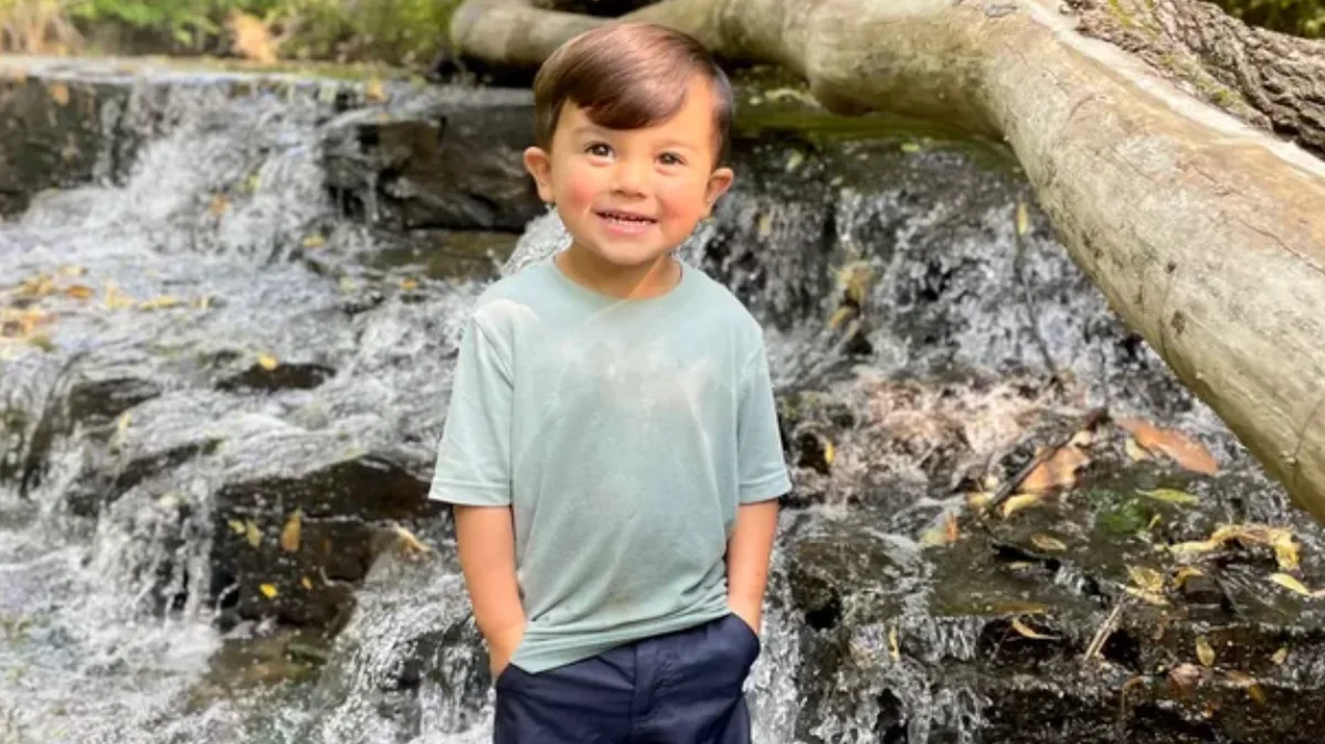 Boy, 5, Dies After Being Struck by Falling Tree While Playing in Creek