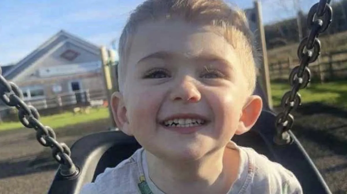 Three-Year-Old Boy from Pontypridd Needs Life-Saving Surgery After Rash Reveals Rare Immune Disorder