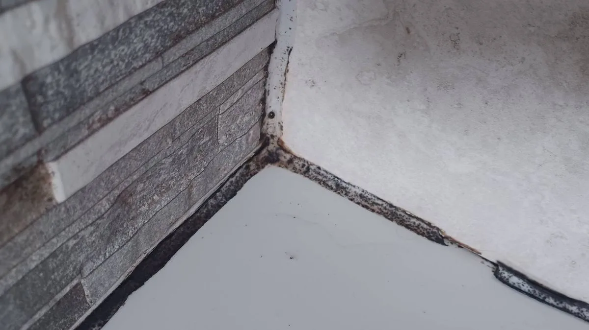35p White Vinegar Hack Banishes Black Mould in One Hour