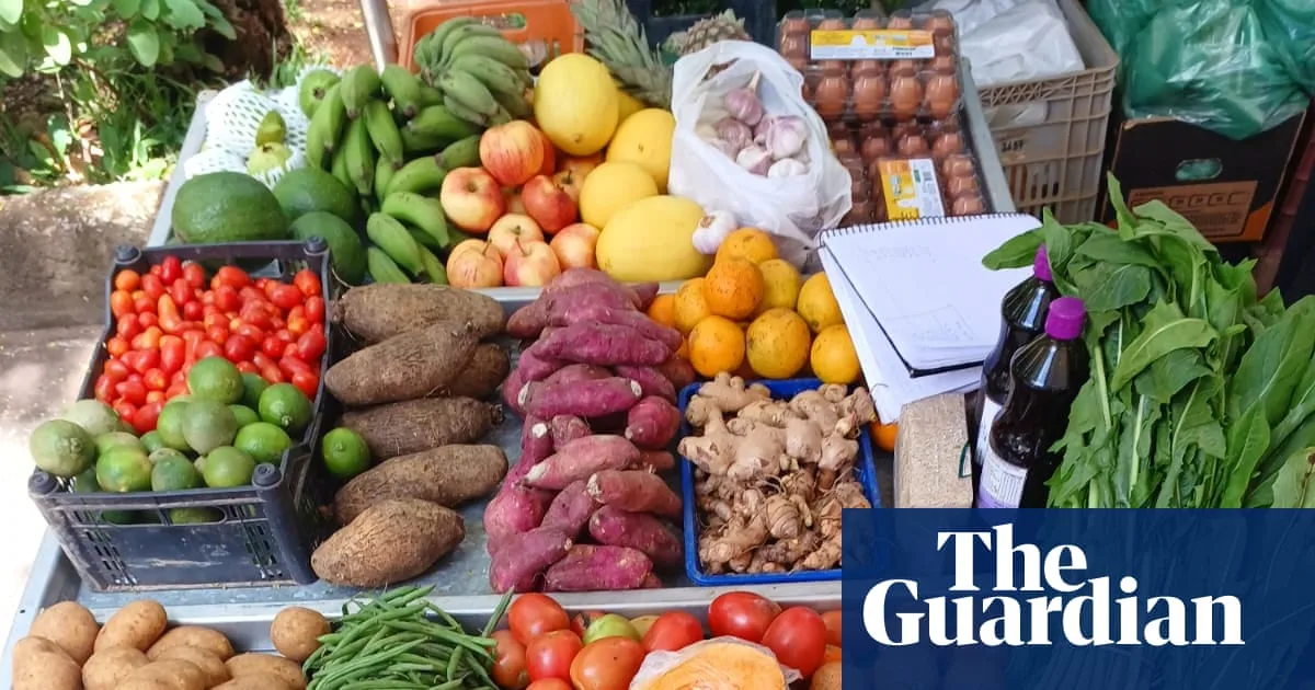 Brazilian Hospitals Swap Ultra-Processed Foods for Fresh Local Meals