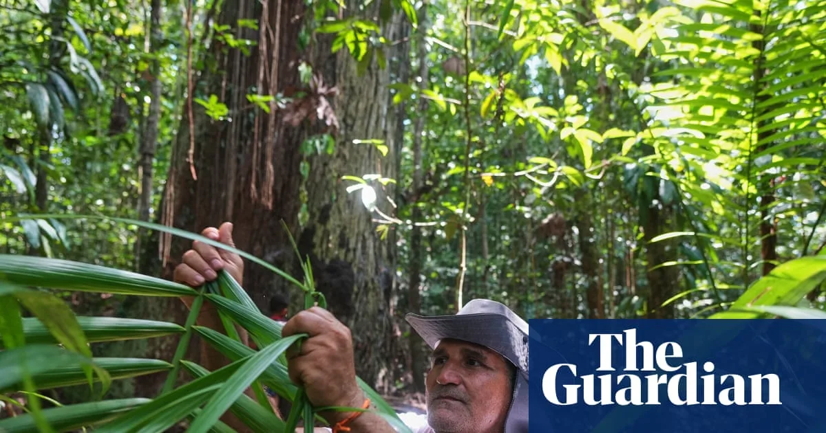 ‘We’re True Guardians of the Forest’: Quilombola Community Near Belém Demands Land Rights and Recognition