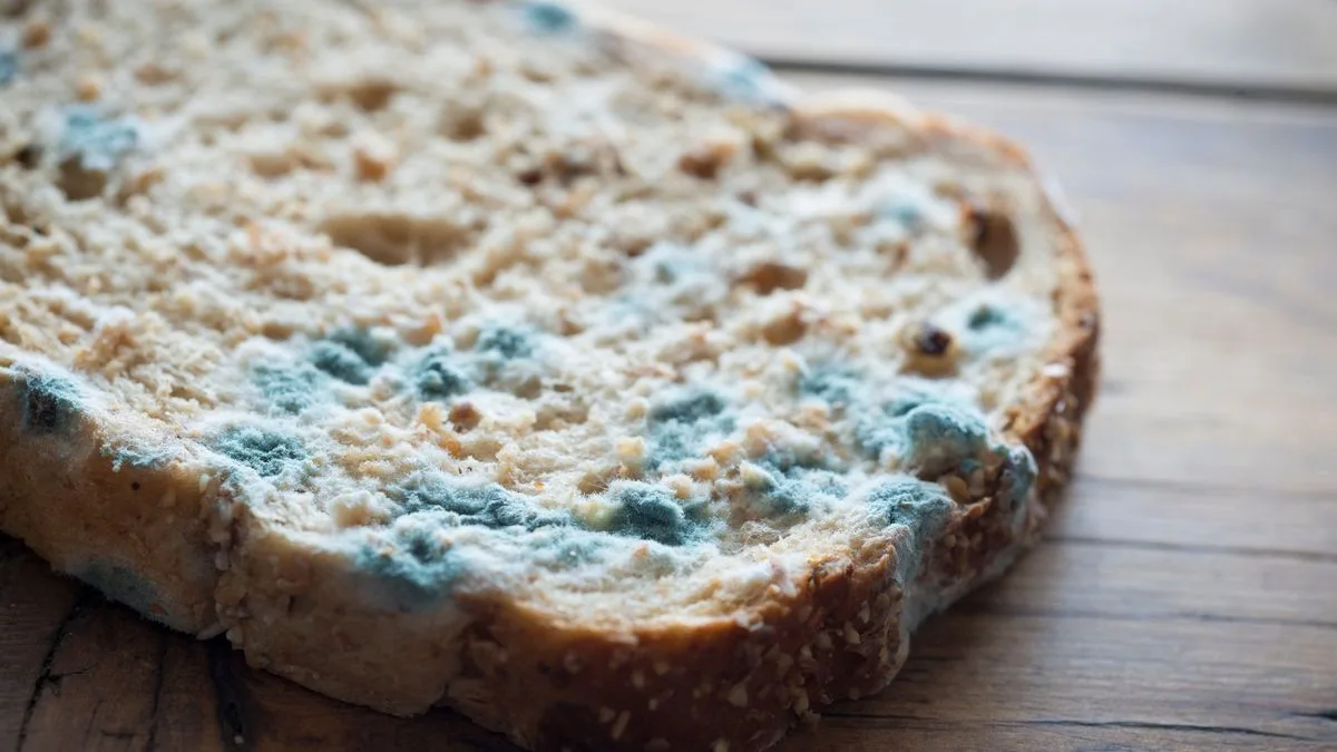 Simple Storage Hack Keeps Bread Fresh for Three Weeks