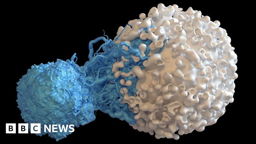 Immune Discovery Could Lead to Universal Cancer Treatment