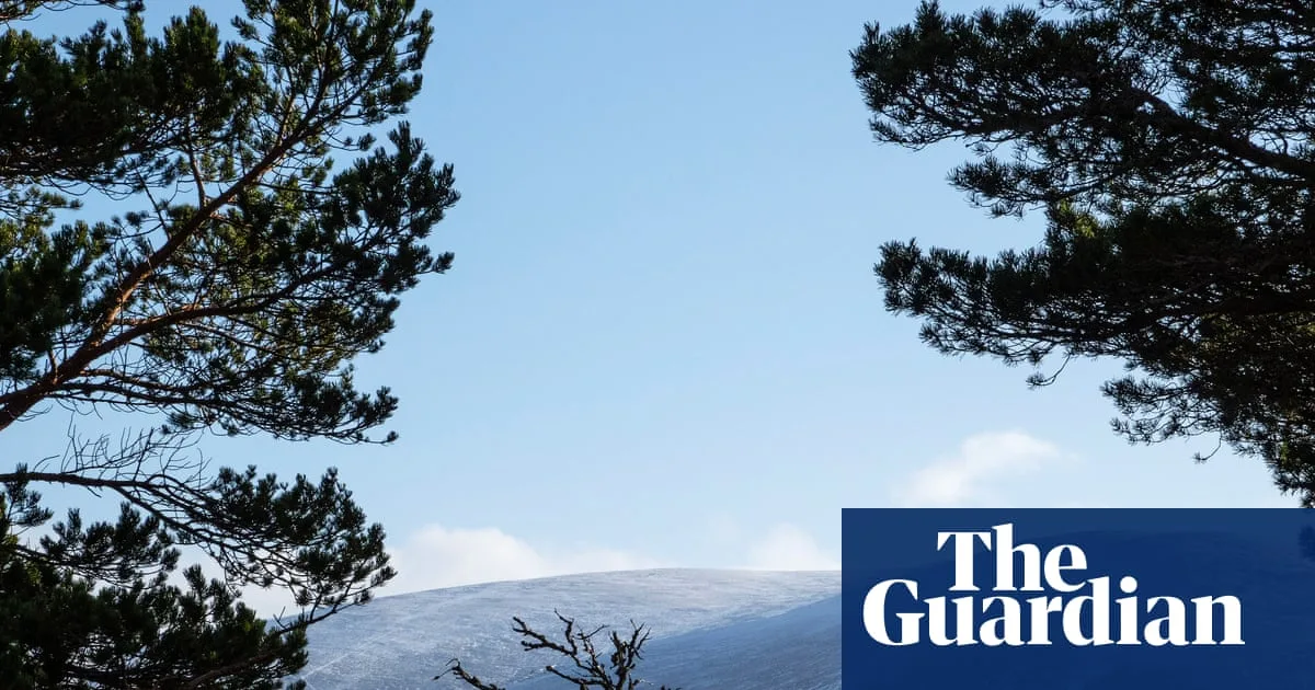 BrewDog Sold Highland Estate at Loss After Abandoning Forest Plan