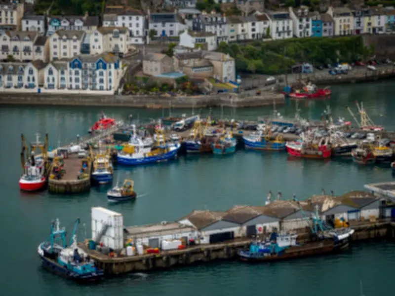 Brexit Betrayal: Farmers and Fishermen Left Weary and Angry a Decade On