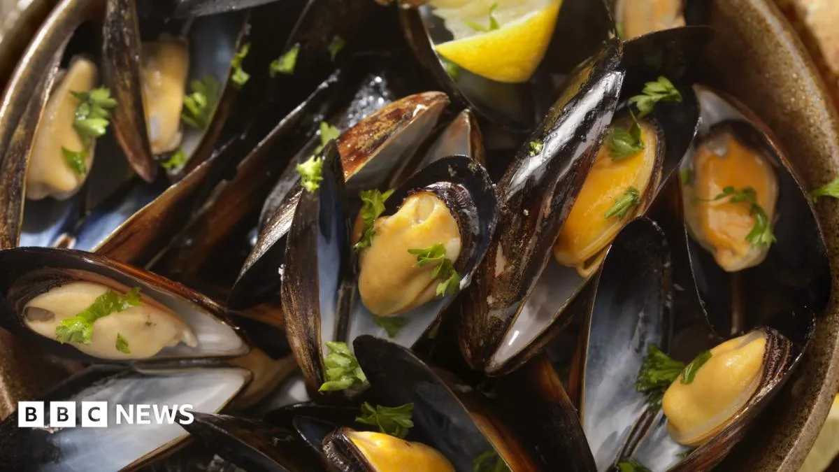 Brexit Devastates Menai Strait Mussel Exports to EU