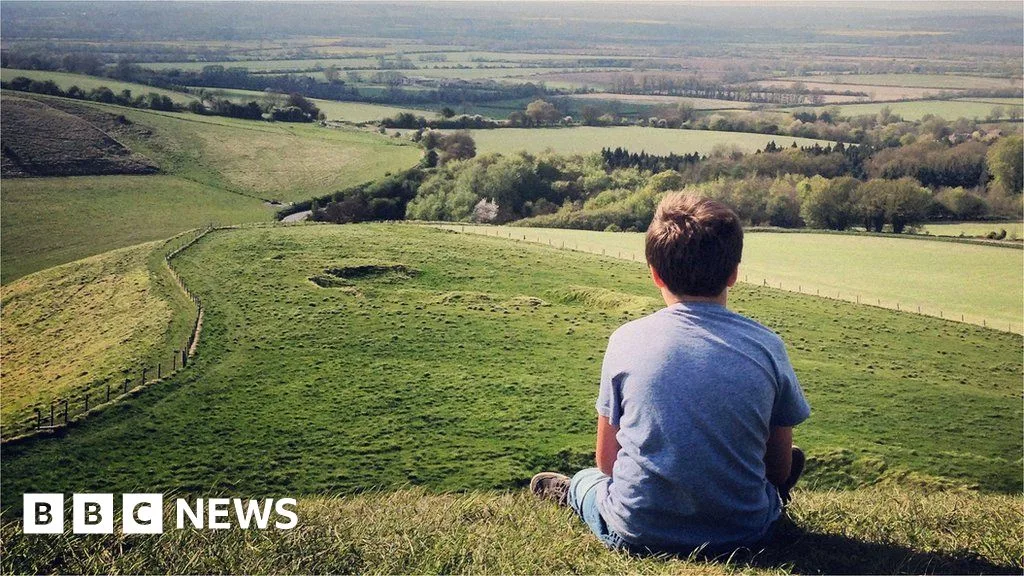 PM Vows to Renew 'British Dream' – But What Is It?