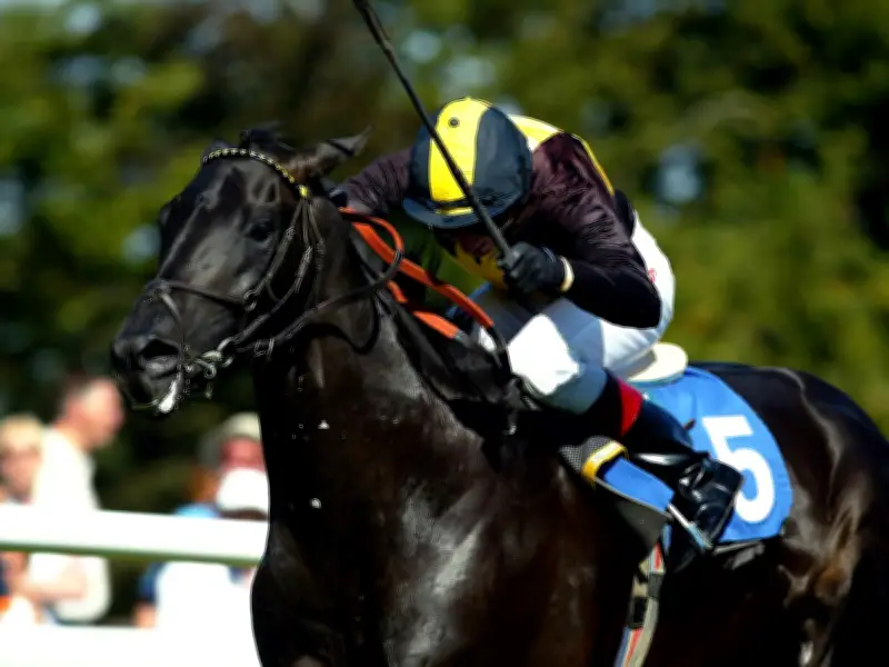 British Champion Jumps Stallion Passing Glance Dies at 27