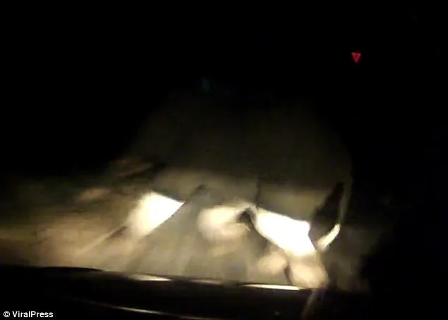 Truck Written Off After Smashing into Elephant in Thailand