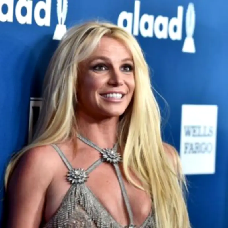 Britney Spears Wants Another Baby in Emotional Father's Day Post