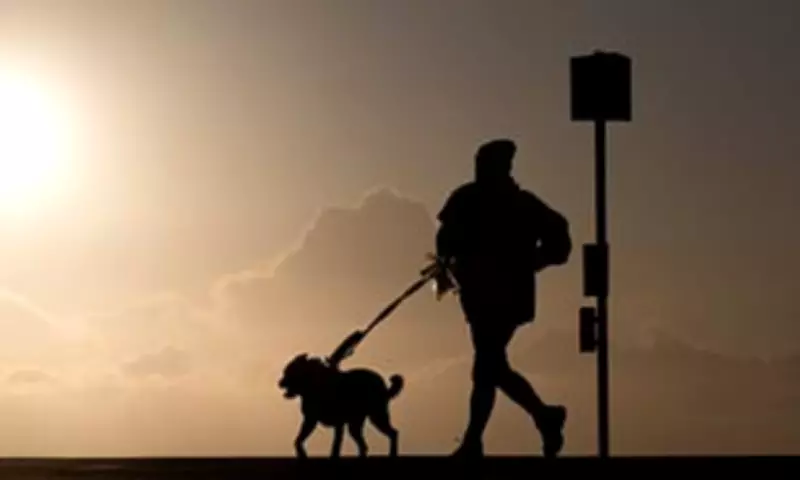 Britons Cheat Fitness Apps by Strapping Trackers to Dogs