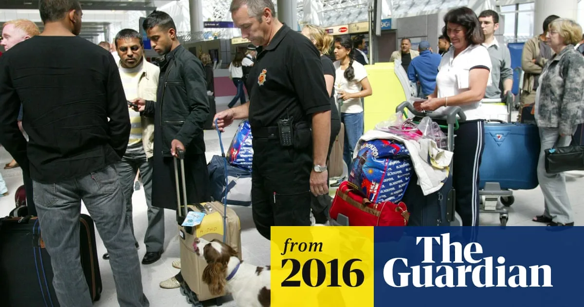 Sniffer Dogs at Manchester Airport Fail to Find Class A Drugs, Report Reveals