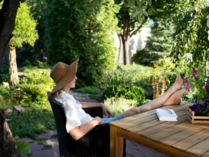 Brits Urged to Use Garden Fans to Deter Mosquitoes This Week