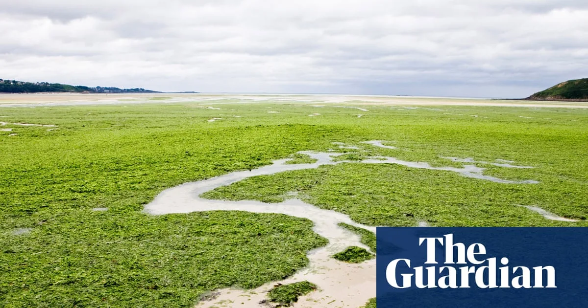 Brittany Seaweed Death Family Wins Landmark Case