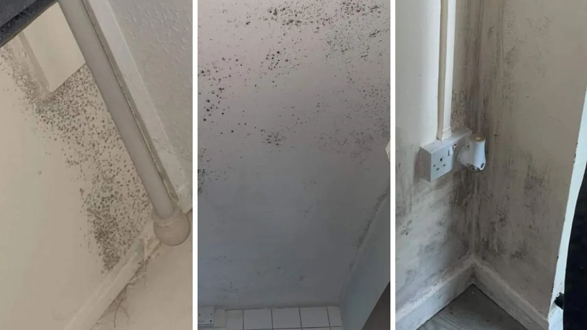 Pregnant Woman Forced Out of Flat Over Black Mould Health Fears
