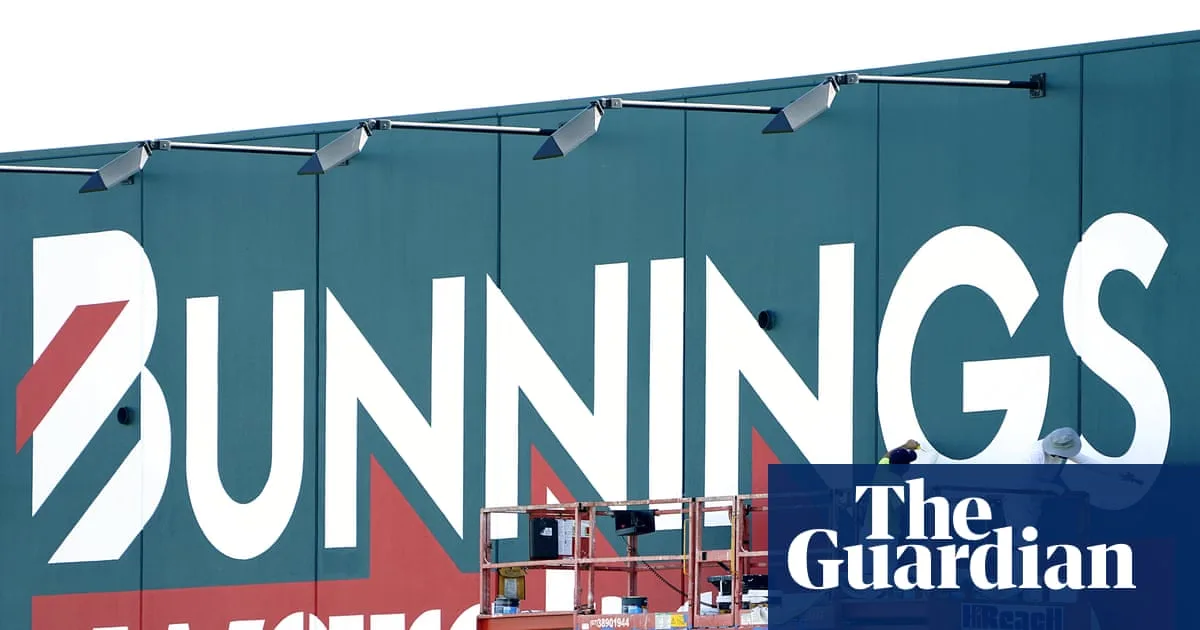 Bunnings Accused of Greenwashing Timber Amid Illegal Logging Concerns