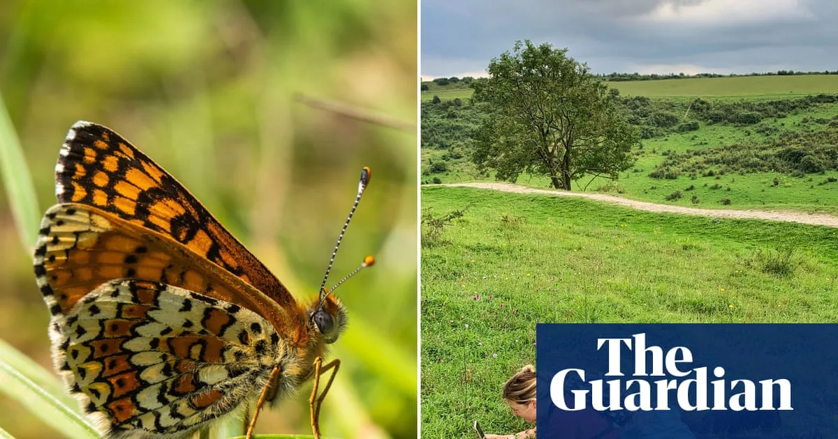 Butterfly Passion Weaponised In Abusive Marriage Play