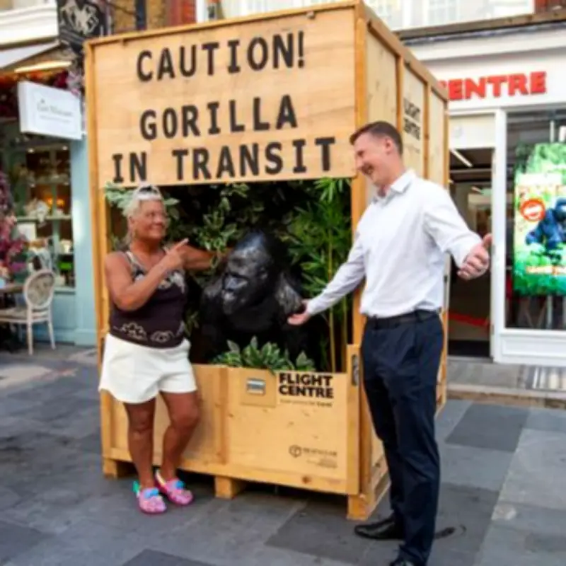 Caesar the Fibreglass Gorilla Finds New Home at Flight Centre After Council Eviction
