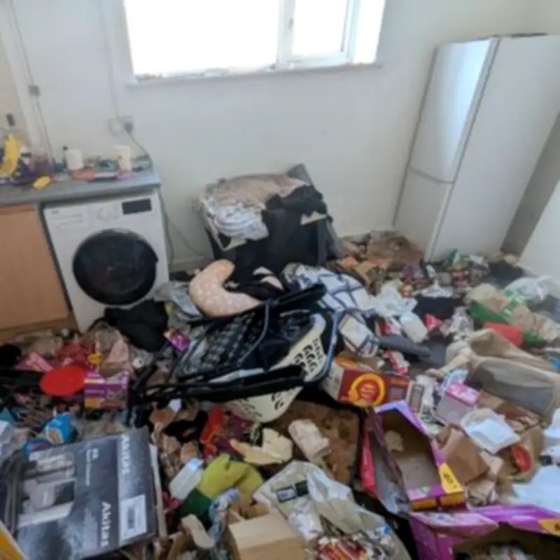 Caged Cat Found Dead in Rubbish-Filled House; Owner Sentenced