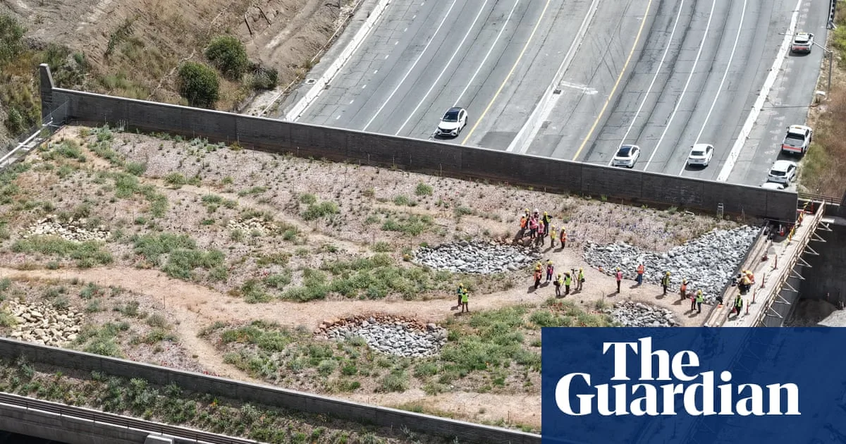 California's $114m Wildlife Bridge Overcomes Budget Delays and Right-Wing Criticism