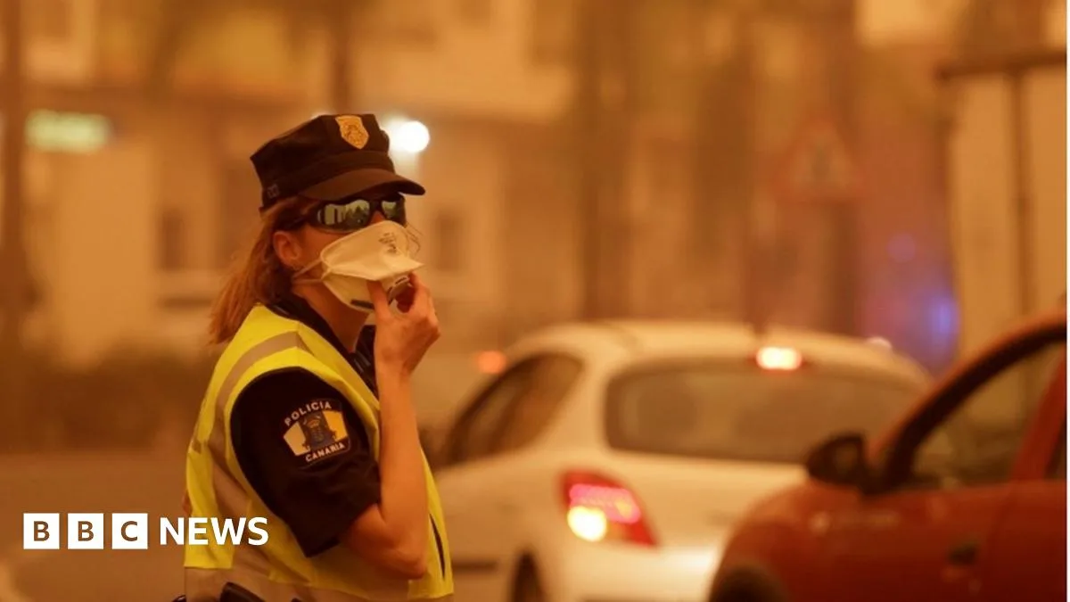 Canary Islands Sandstorm Strands British Tourists as Flights Cancelled