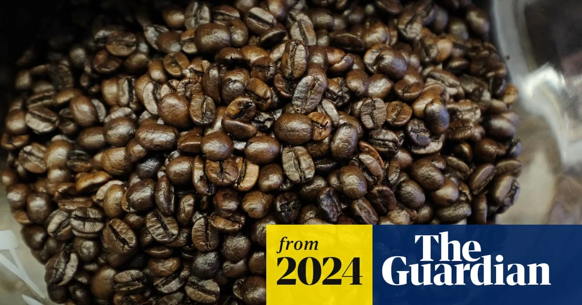 White Rice, Coffee and Eggs Linked to Higher PFAS Levels, Study Finds