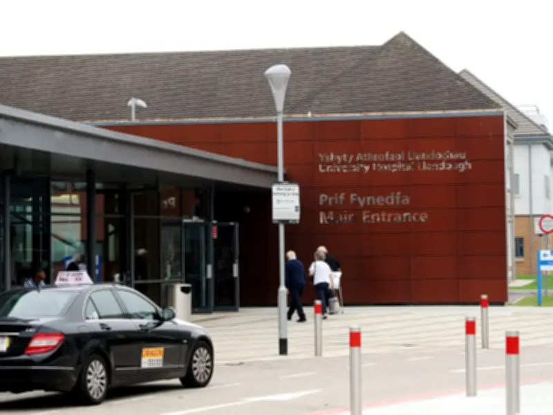 Cardiff Mental Health Hospital Inspectors Find 'Serious Concerns'