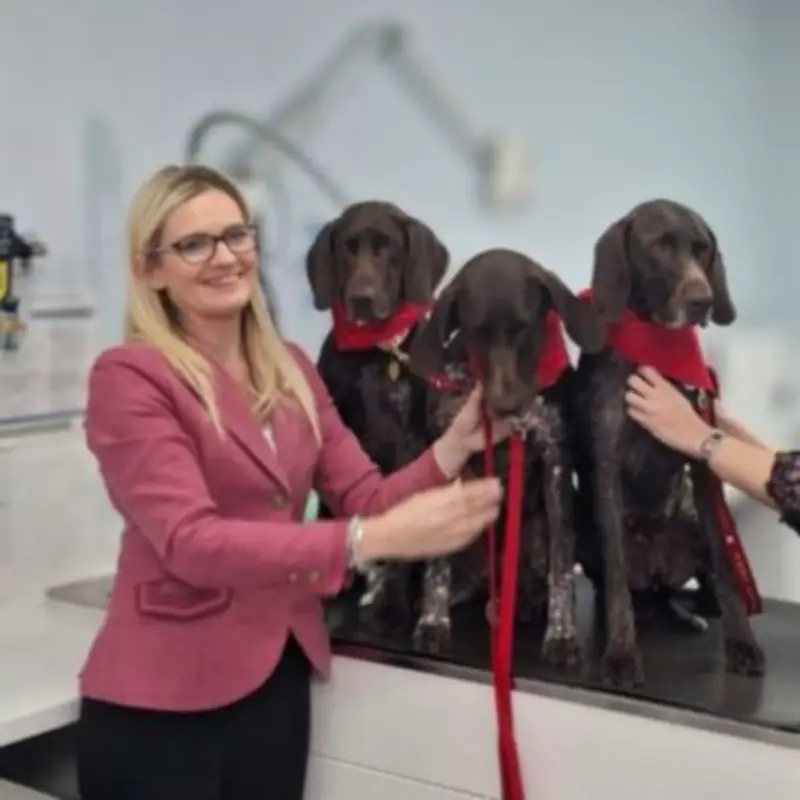 Carluke Woman Wins National Award for Dog Blood Donation Advocacy